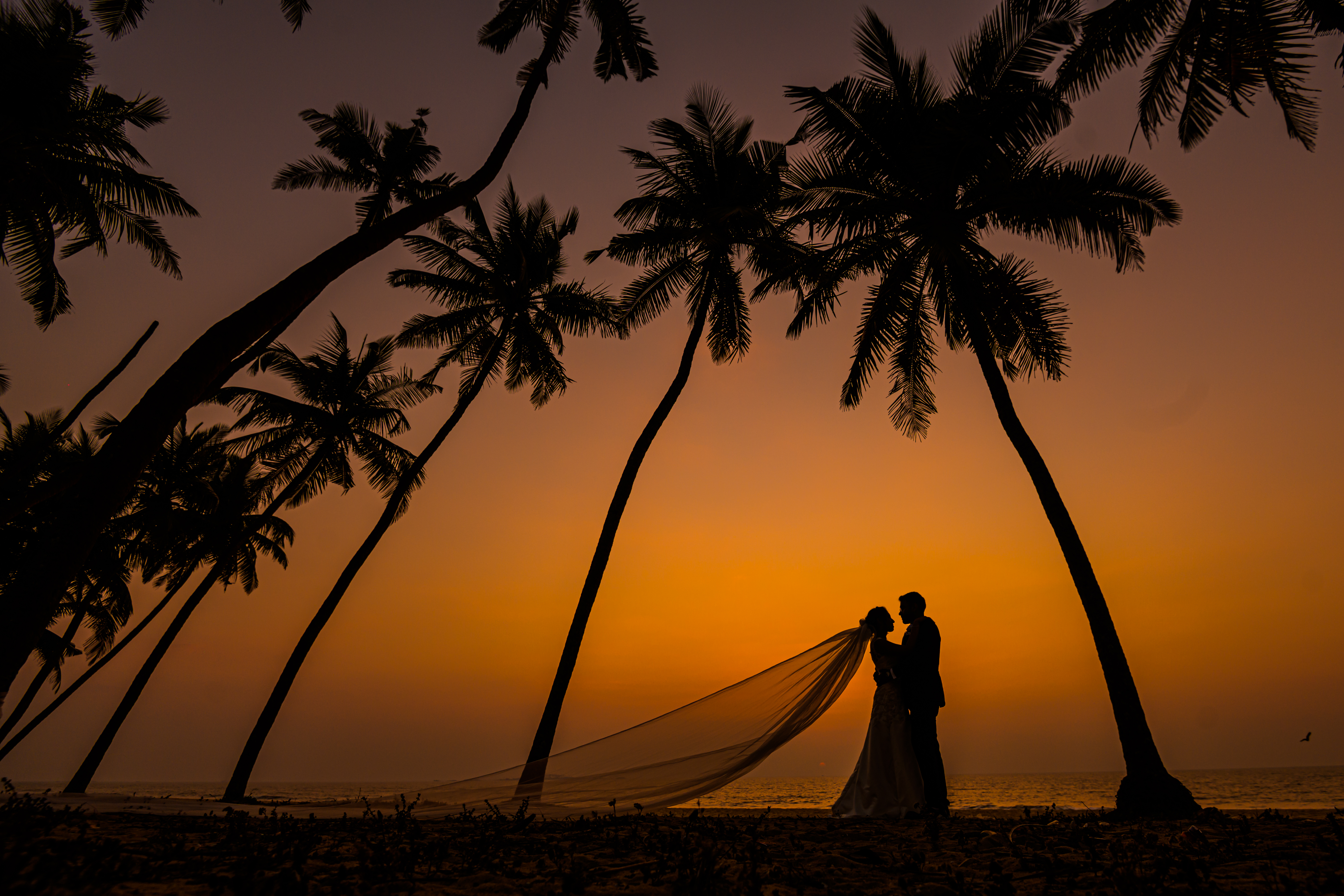 Cinematic Films & Reels