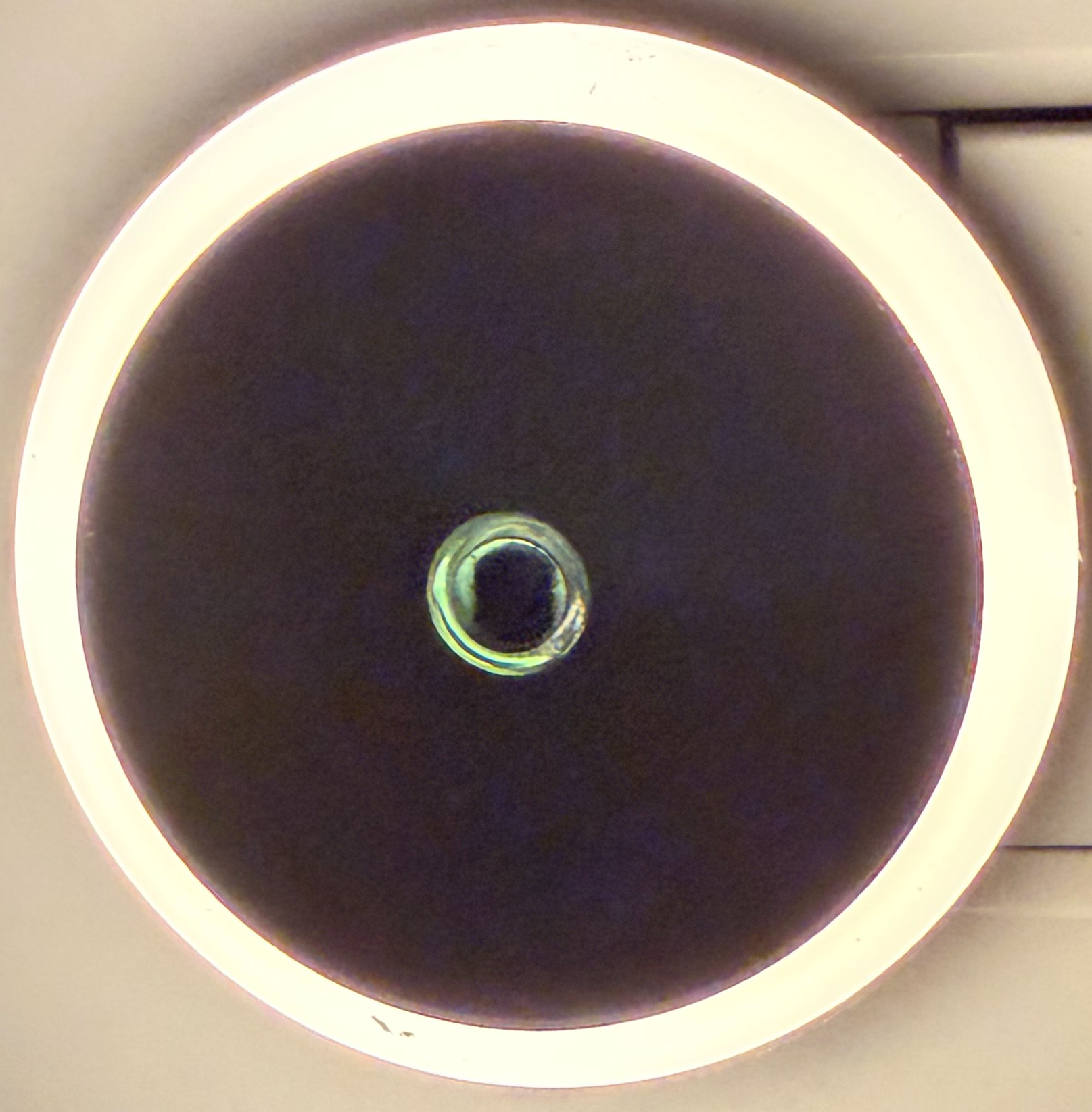 Circle LED Night Lamp